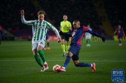 开云体育在线-包含西班牙队：备战欧洲杯资格赛，冲刺胜利之路的词条