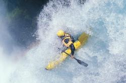 开云体育官网-从萨内的冠军级表现到荷兰狂胜，佛罗伦萨的启示与足球的艺术