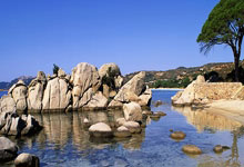 开云体育登录-意大利选手勇夺金牌震撼全场