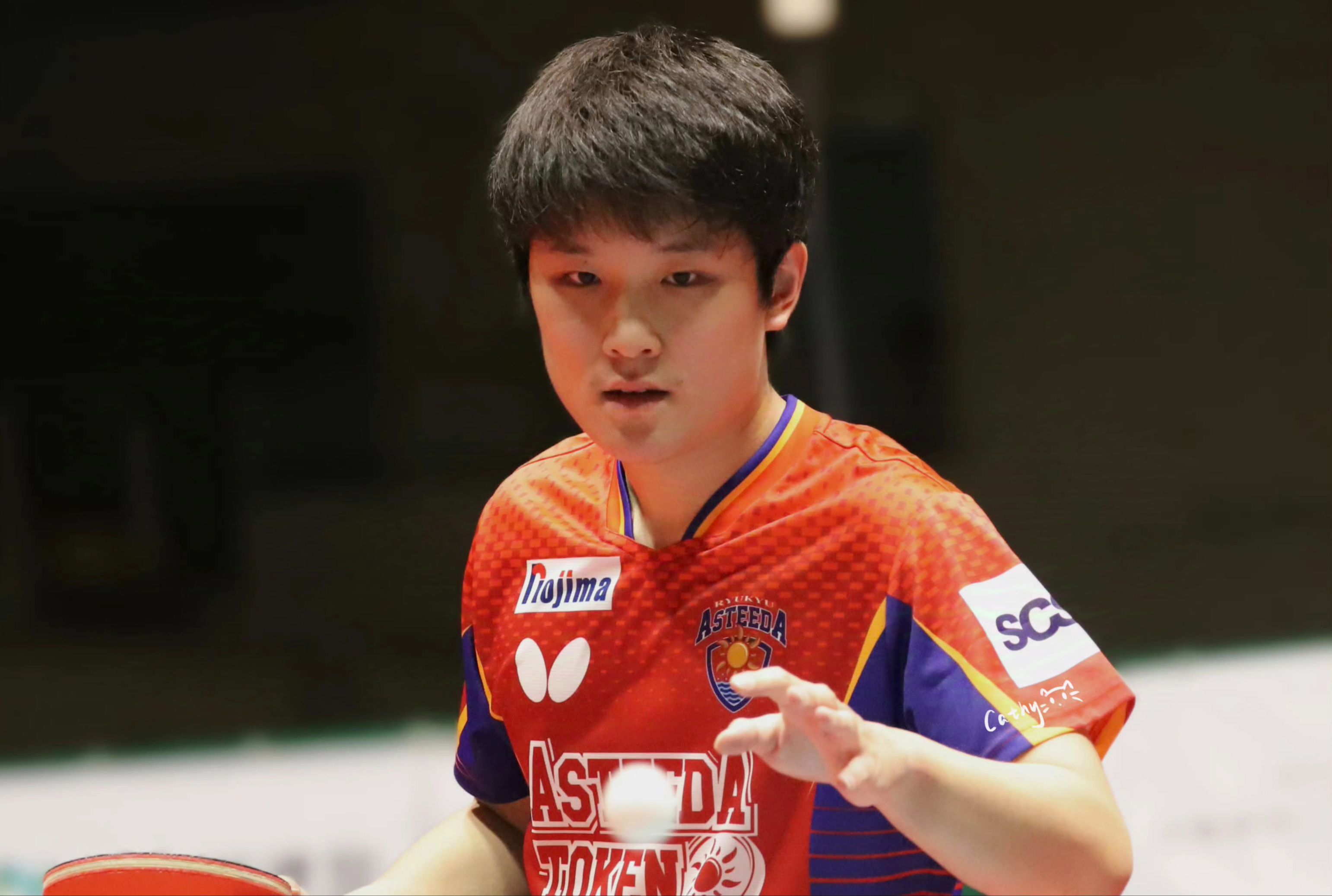 英国乒乓球队轻取波兰乒乓球队，张本智和高光表现的简单介绍