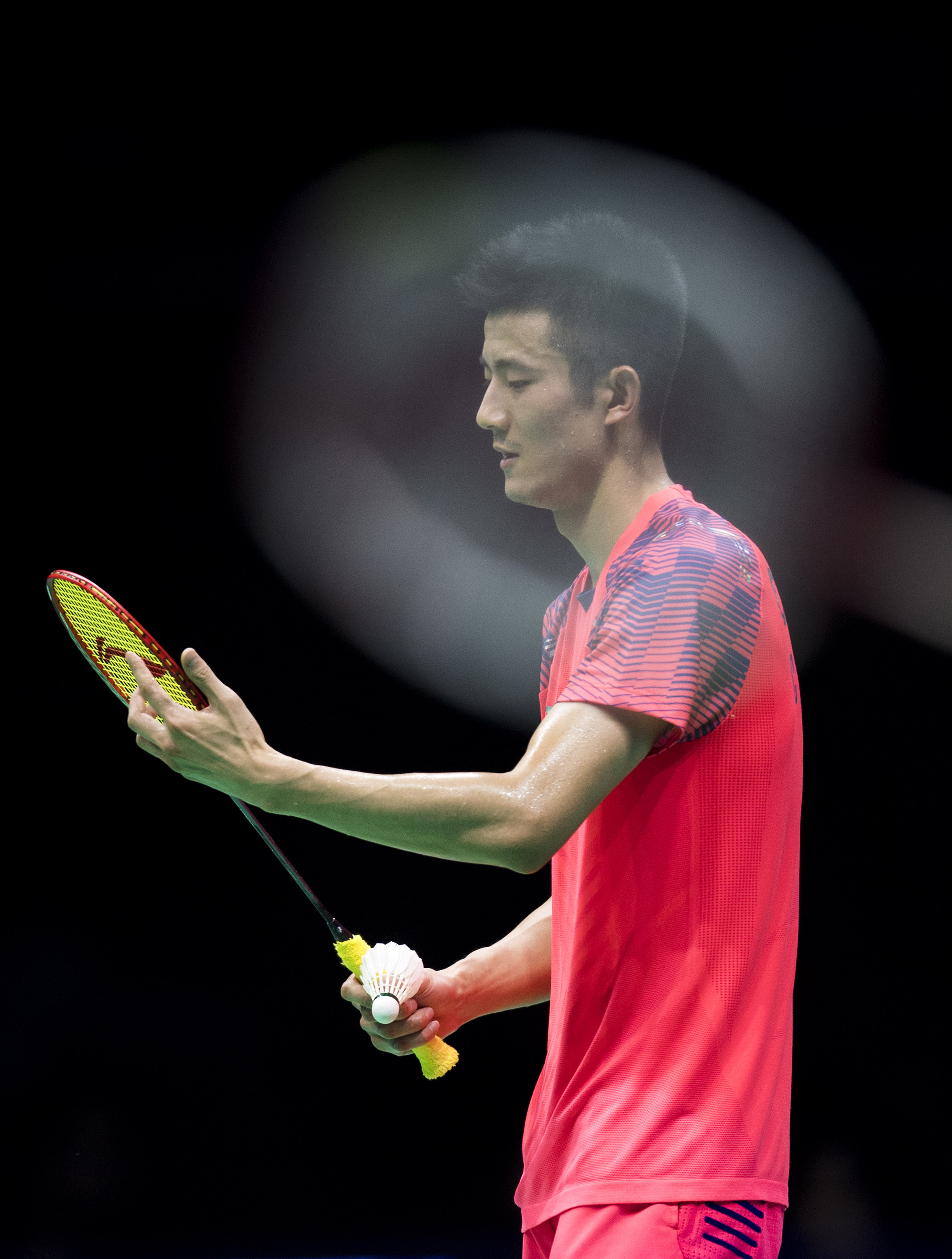 包含中国羽毛球队轻取马来西亚羽毛球队，谌龙制霸全场的词条