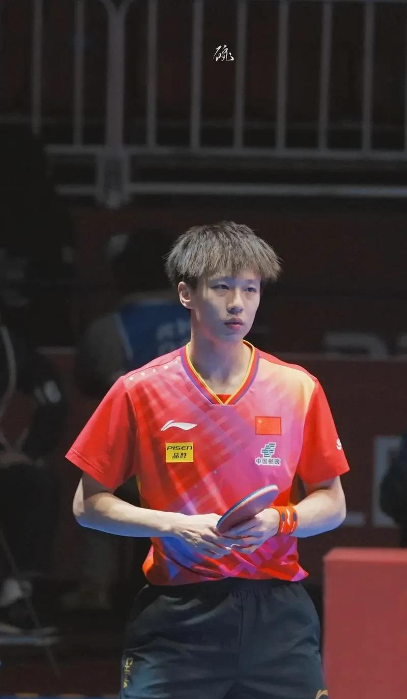 瑞典队力克奥地利队，林高远惊艳四座的简单介绍