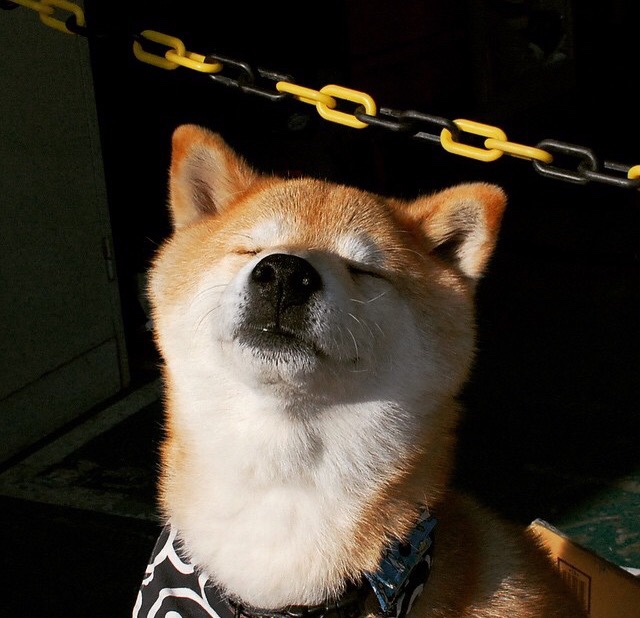 新王登基，切特制胜一击助国王力克魔术，锁定争冠战关键胜局