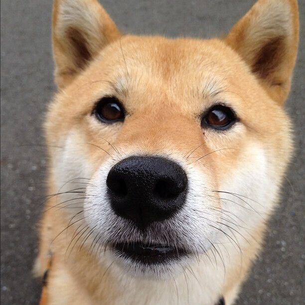 阿什拉夫一锤定音,荷兰爆冷丹麦背后的战术革命与个人英雄主义